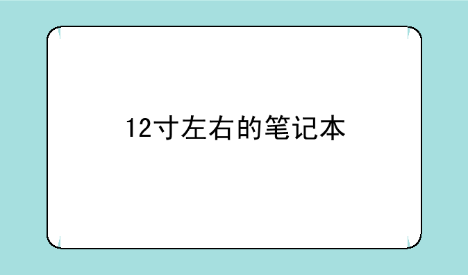 12寸左右的笔记本