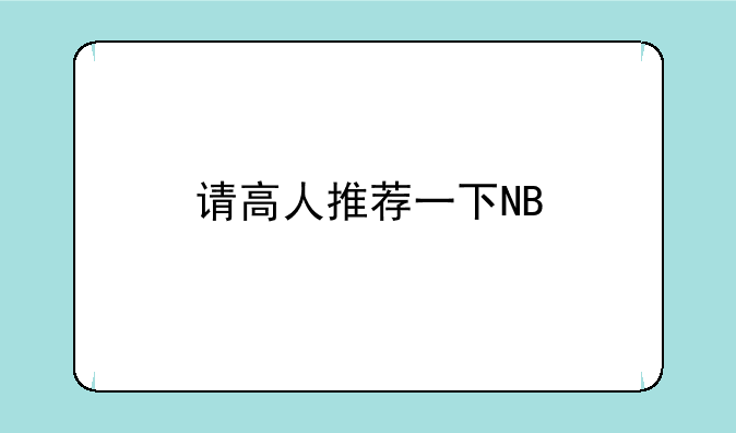 请高人推荐一下NB