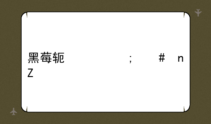 黑莓软件怎么更新