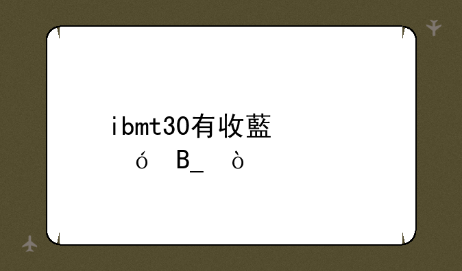 ibmt30有收藏价值吗？