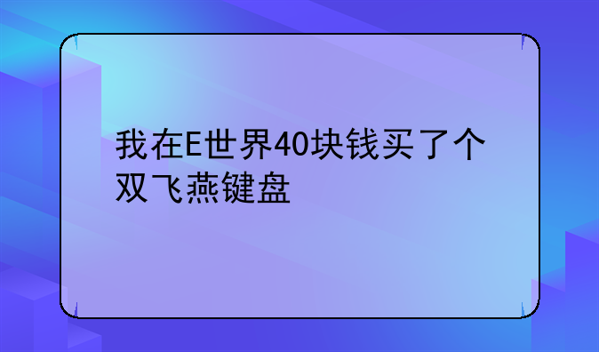 我在E世界40块钱买了个双飞燕键盘