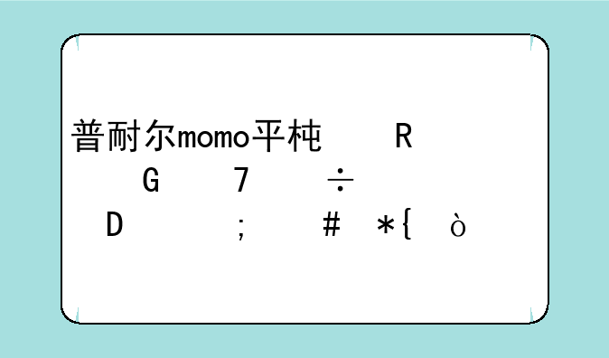 普耐尔momo平板电脑不能够上网,怎么办？