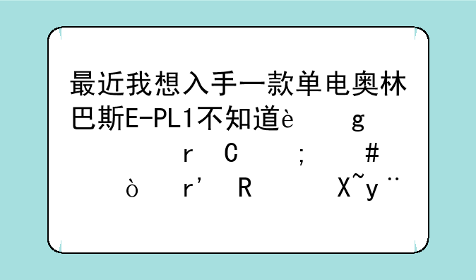 最近我想入手一款单电奥林巴斯E-PL1不知道这款机子怎么样？有用过的请把缺点告诉我