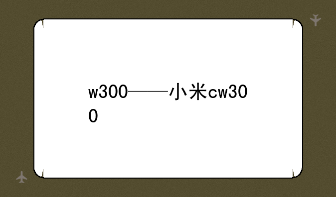 w300——小米cw300