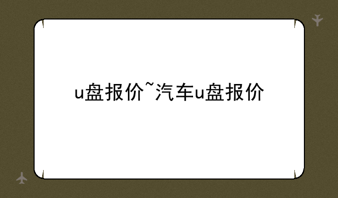 u盘报价~汽车u盘报价