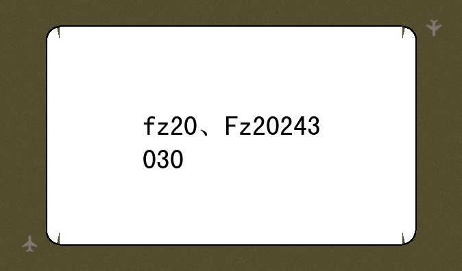 fz20、Fz20243030