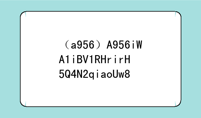 （a956）A956iWA1iBV1RHrirH5Q4N2qiaoUw8