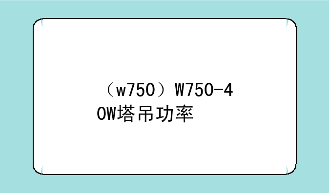 （w750）W750-40W塔吊功率