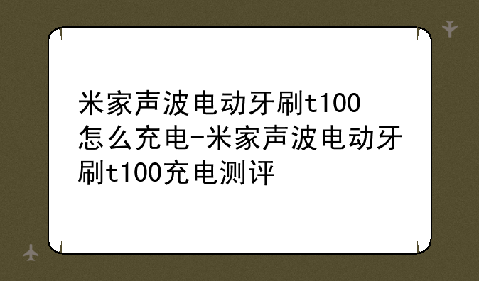 米家声波电动牙刷t100怎么充电-米家声波电动牙刷t100充电测评