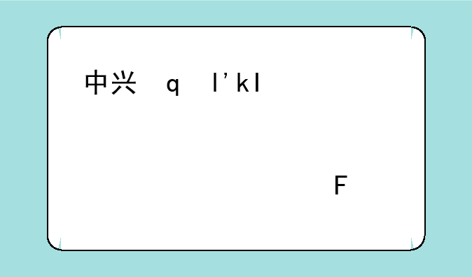 中兴青漾2