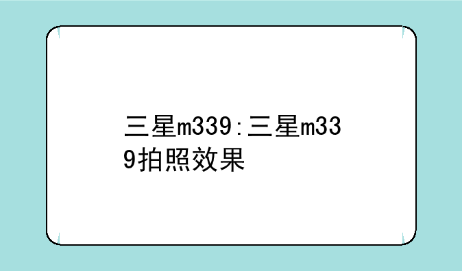 三星m339:三星m339拍照效果