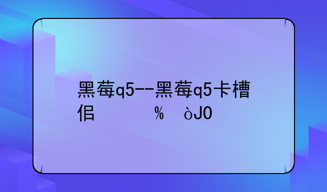 黑莓q5--黑莓q5卡槽位置图
