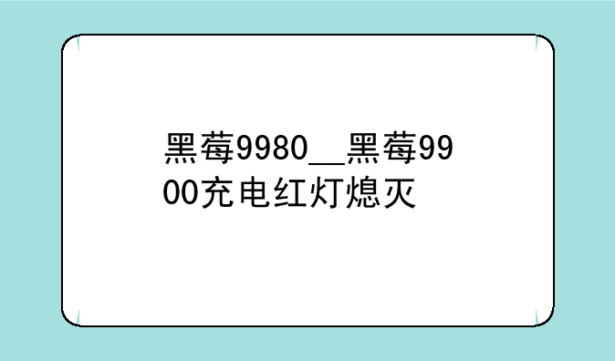黑莓9980__黑莓9900充电红灯熄灭