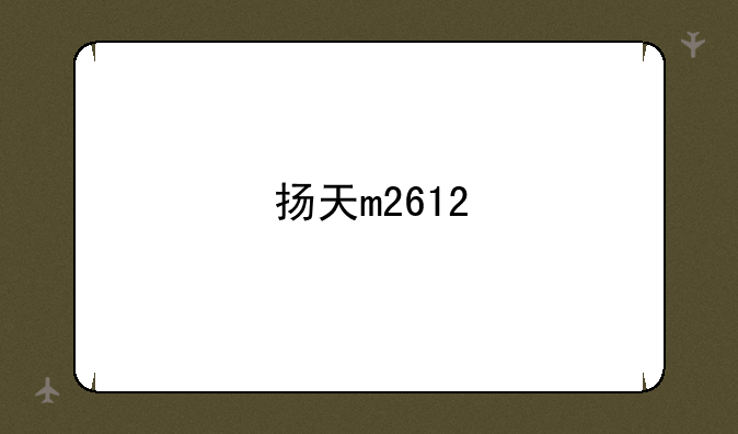 扬天m2612