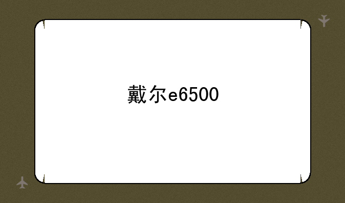 戴尔e6500
