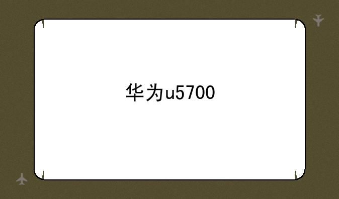 华为u5700
