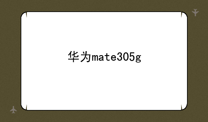 华为mate305g