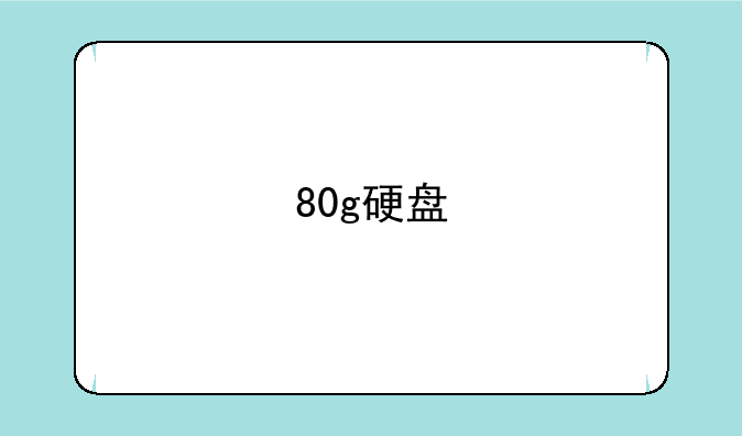80g硬盘